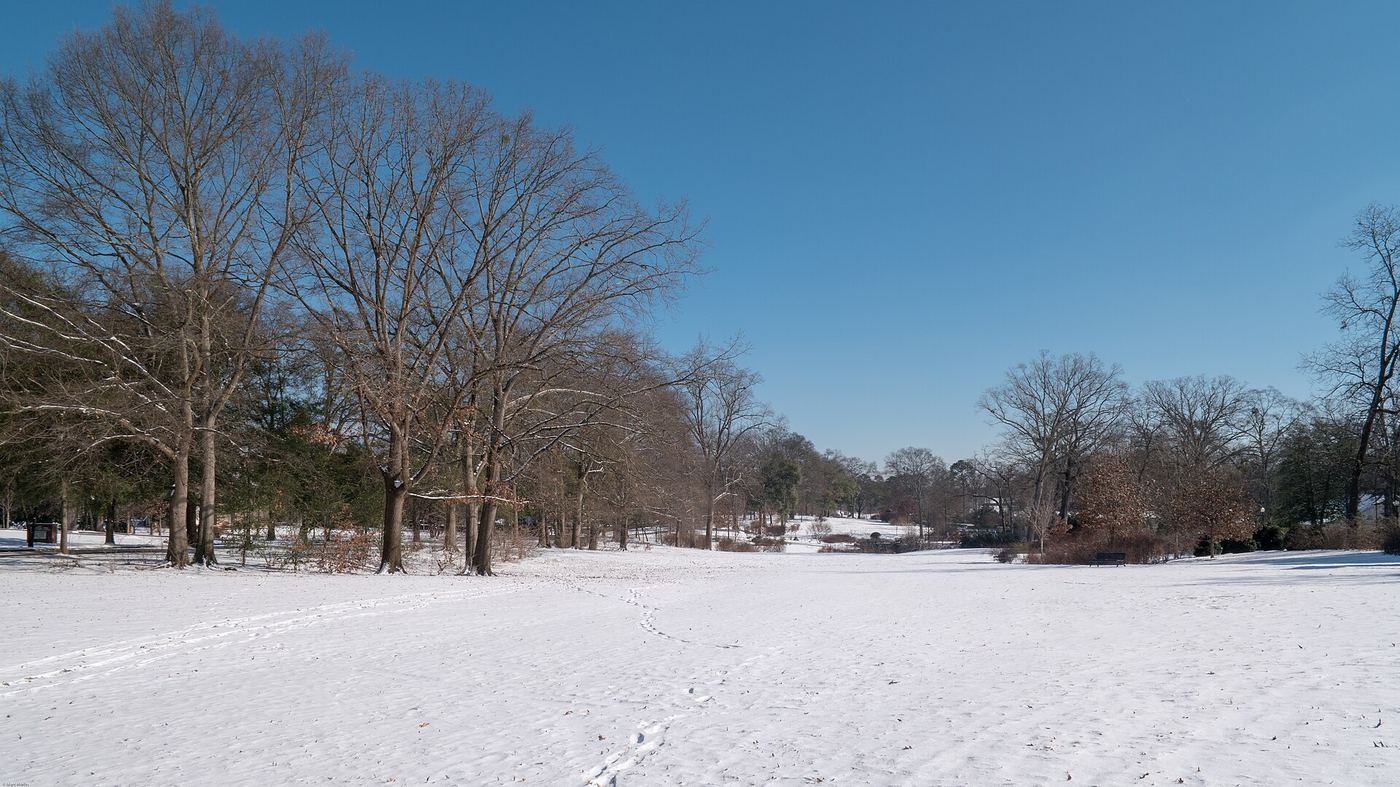 Olmsted Linear Park along Ponce de Leon Avenue