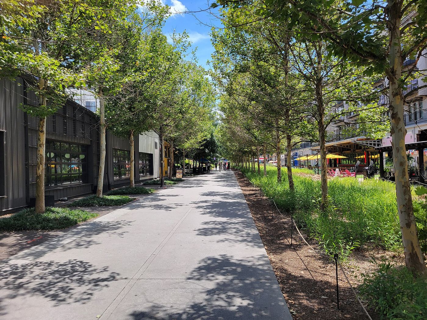The BeltLine Eastside Trail where it passes Inman Park