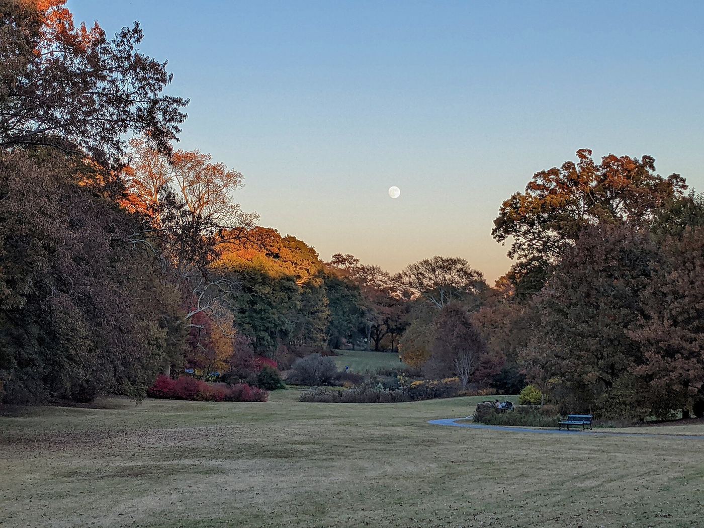 Moonrise over Olmsted Linear Park in Druid Hills