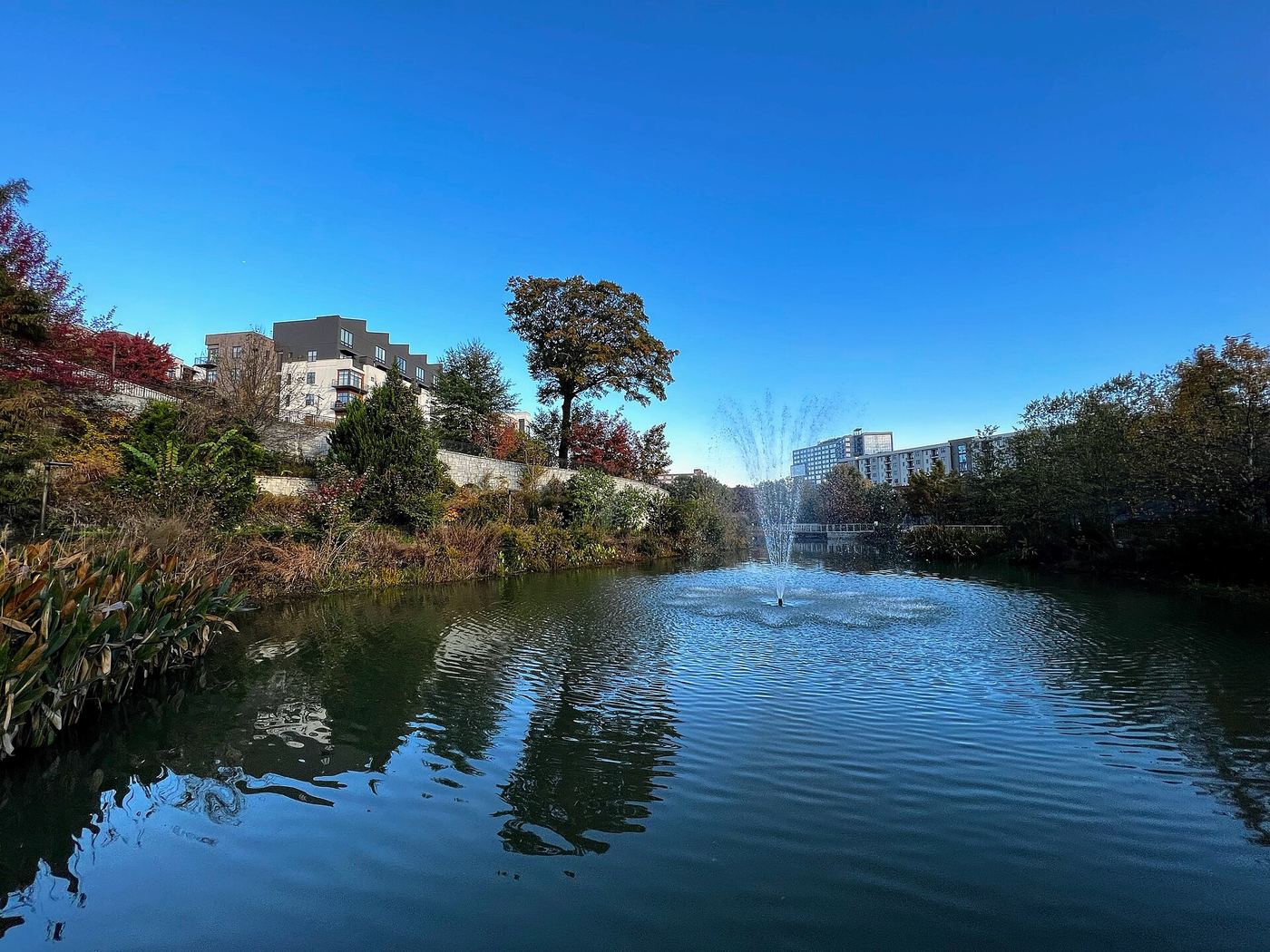 Historic Fourth Ward Park